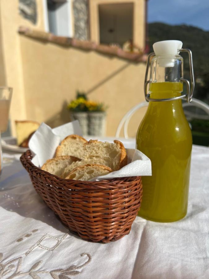 Agriturismo Le Merline Arnasco Kültér fotó